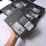 New Luxury Boxer For Men