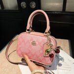 Chic Square Handbags For Women - Image 3
